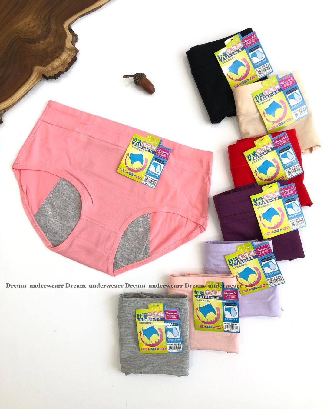 Leak Proof Menstrual Panties (127)