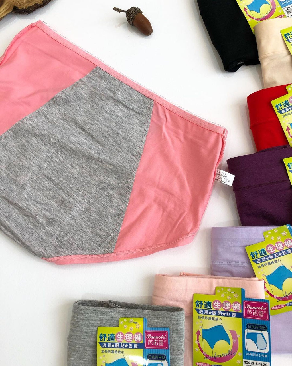 Leak Proof Menstrual Panties (127)